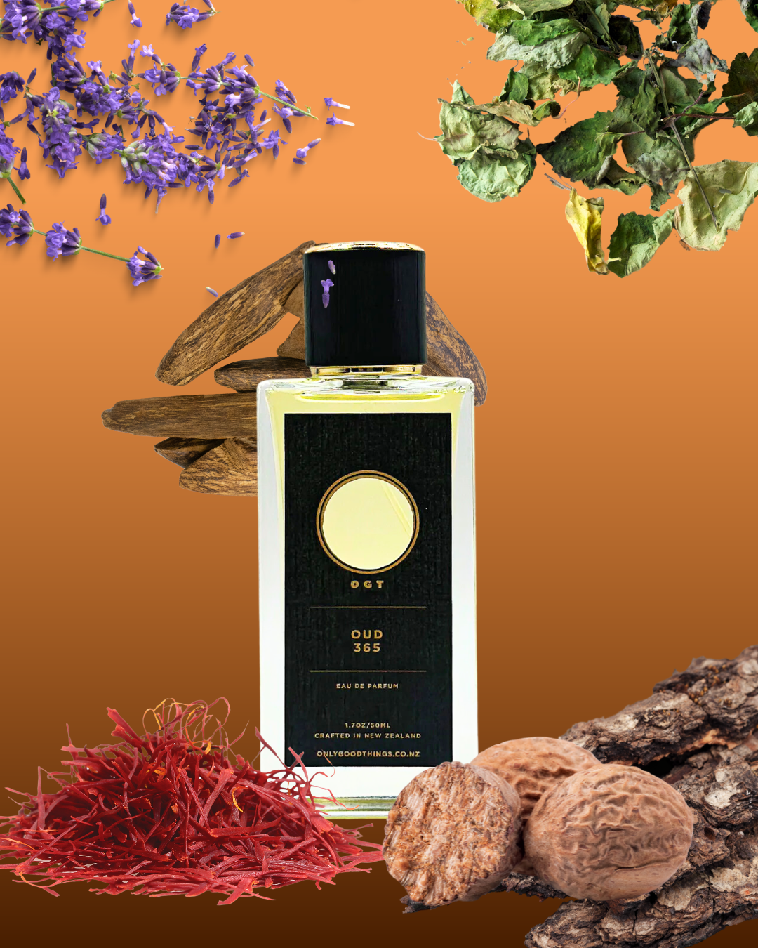 OUD 365