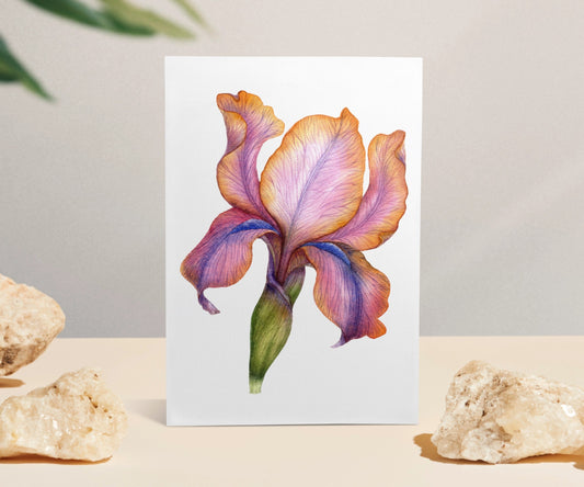 Dream in Bloom - Iris Flower Greeting Card