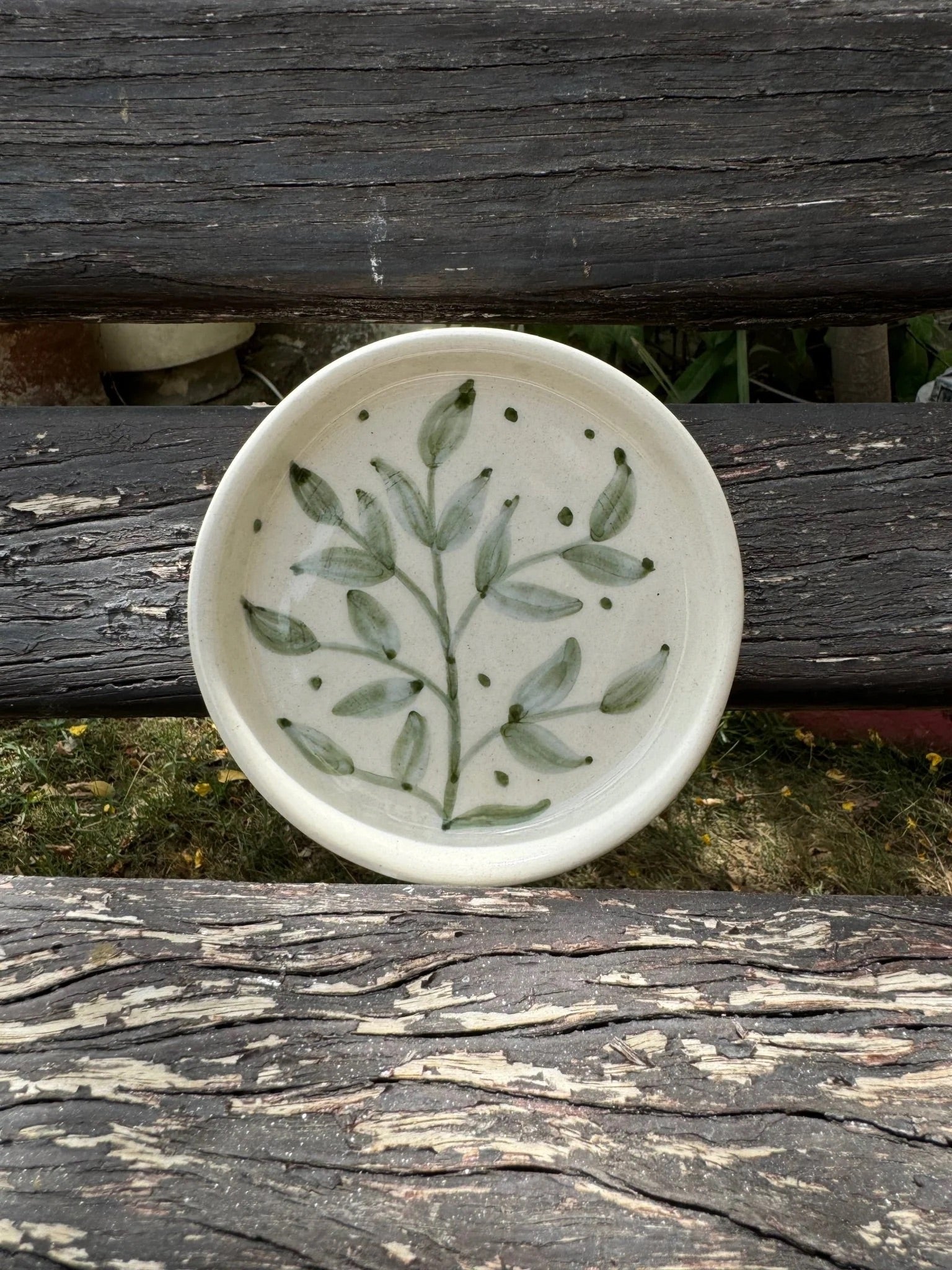 Eucalyptus Coaster