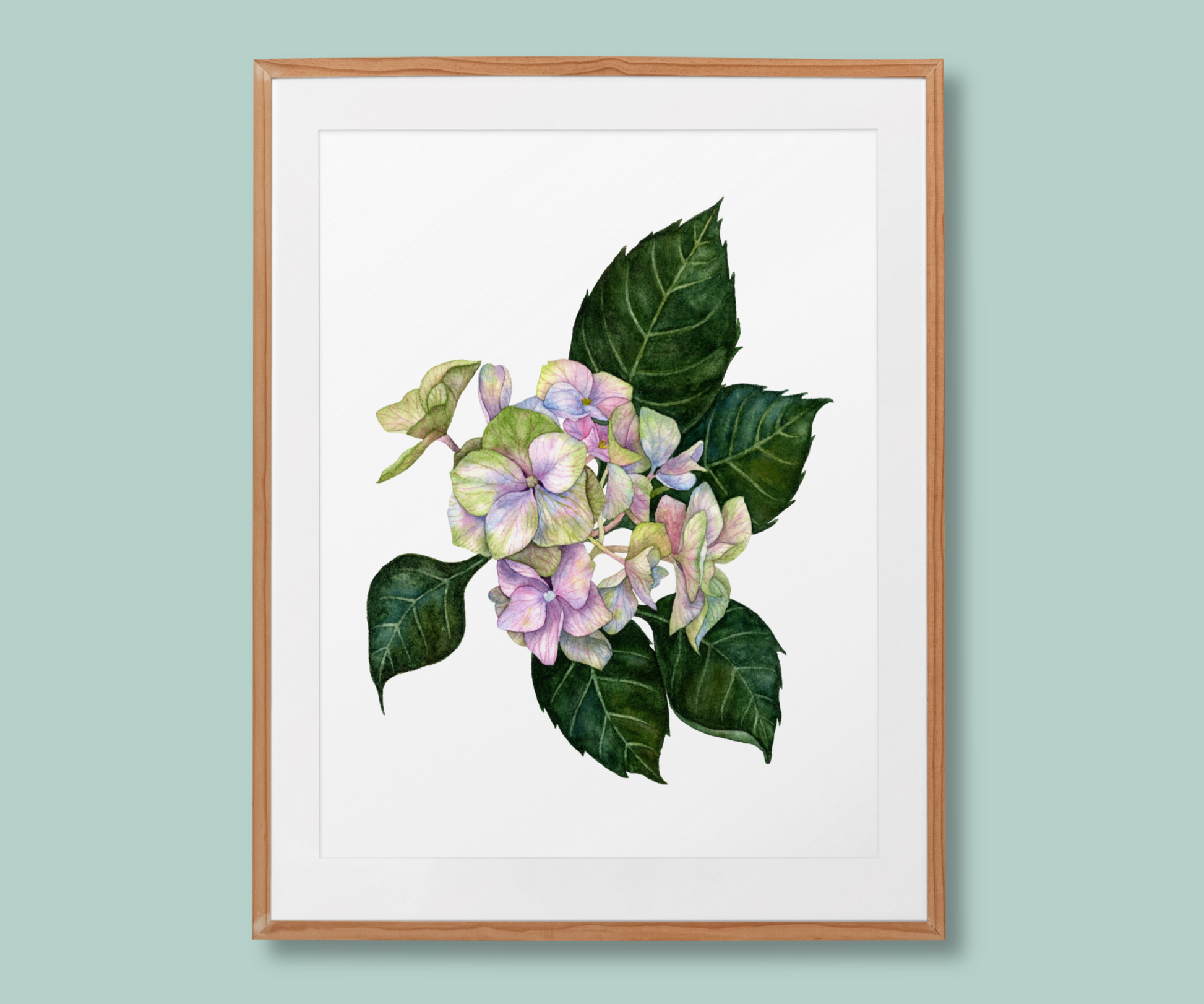 Hydrangea floral art print in a light wood frame, featuring delicate blue, purple,pink and green colour mixed blossoms in a botanical watercolour style