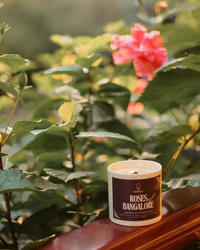 Roses Of Bangalore