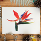 Bird of Paradise Greeting Card Linen Front