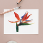 Bird of Paradise Flower Greeting Card Mock up