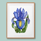 "Blossoming in Blue Iris" Blue Iris Flower Art Print