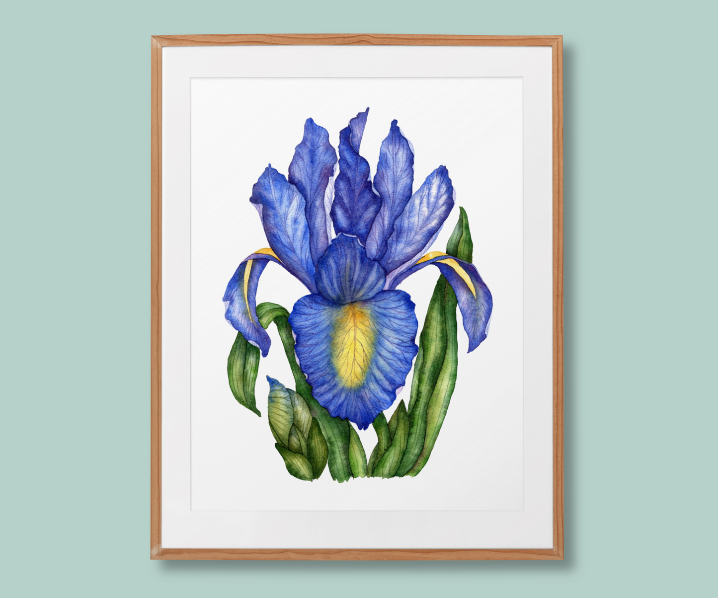 "Blossoming in Blue Iris" Blue Iris Flower Art Print