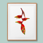 Heliconia Flower Art Print