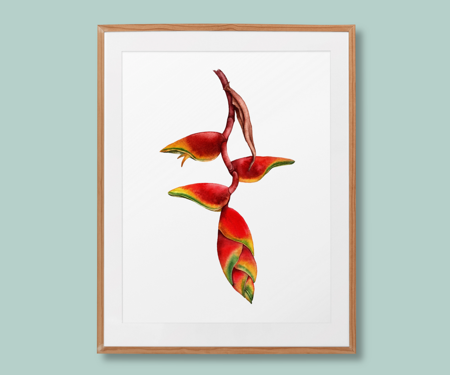 Heliconia Flower Art Print