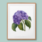 "Whispers of Hydrangea Beauty" Hydrangea Flower Art Print