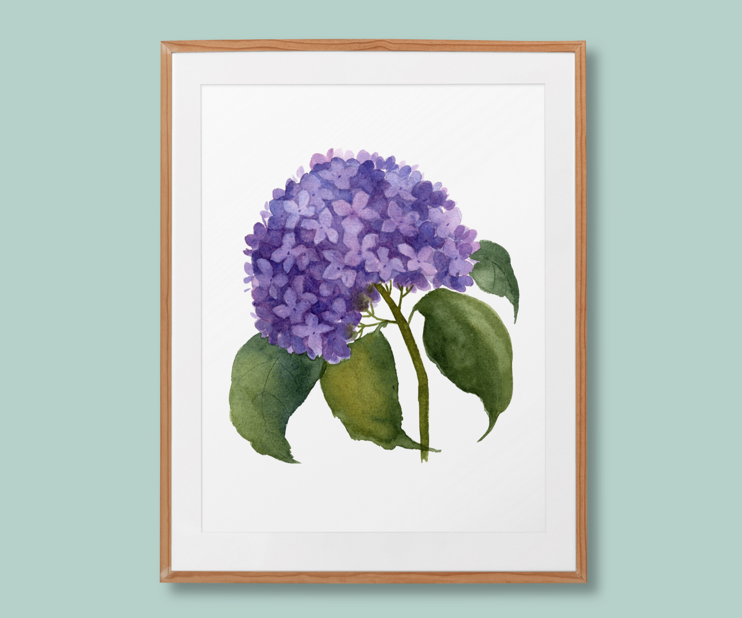 "Whispers of Hydrangea Beauty" Hydrangea Flower Art Print