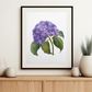 "Whispers of Hydrangea Beauty" Hydrangea Flower Art Print on the Wall