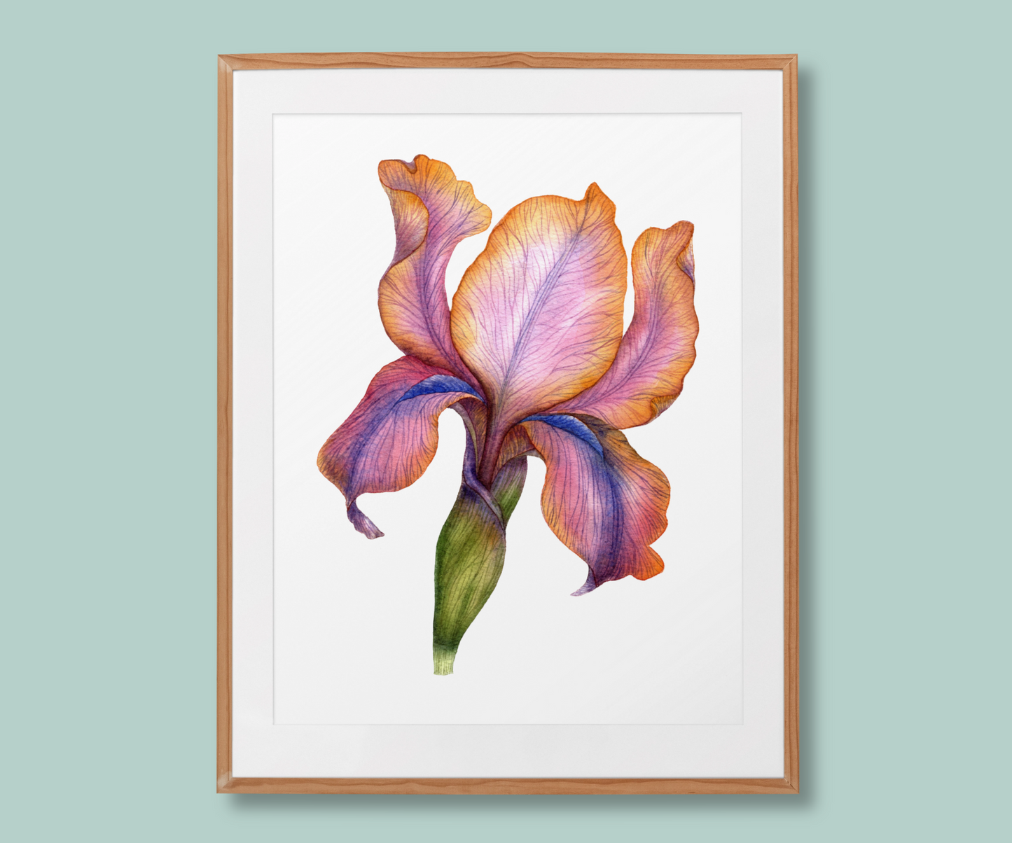 ”Dream in Bloom” Iris Flower Art Print