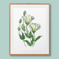 "The Lisianthus: Unfloding Happiness" Lisianthus flowers Art Print