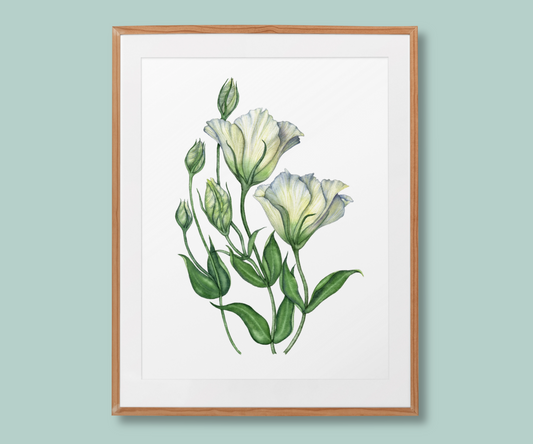 "The Lisianthus: Unfloding Happiness" Lisianthus flowers Art Print