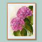 "Pink Hydrangea Ballet" Pink Hydrangea Flowers Art Print