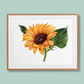 Heart of Sunshine - Sunflower Art Prin Mock-up